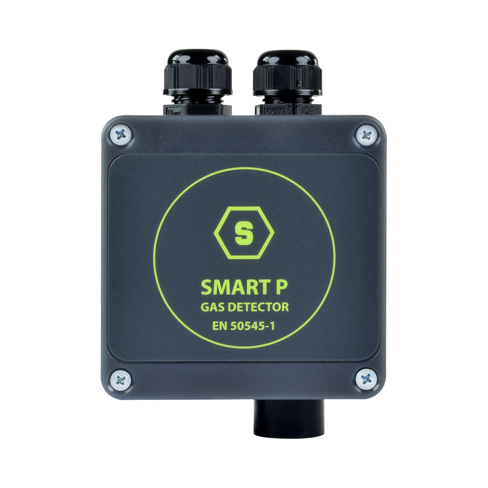 SMART P