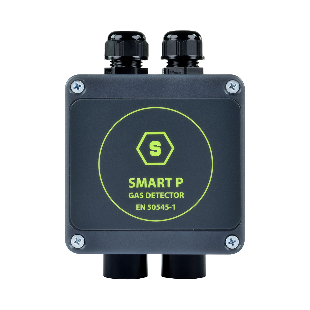 SMART P